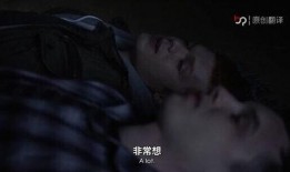 无耻之徒第七季在线观看,家庭纷争再升级，生活百态尽收眼底